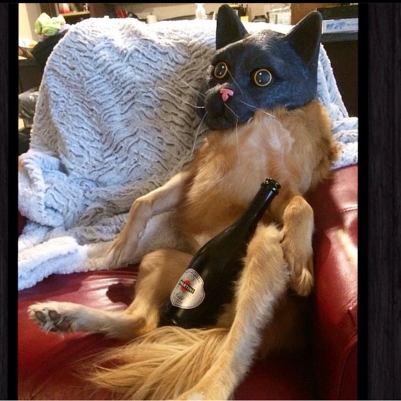 mystery prize box from DeeOgee ( D O G) customized to you . - Picture 7 of 11